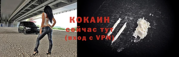 гашик Дмитров