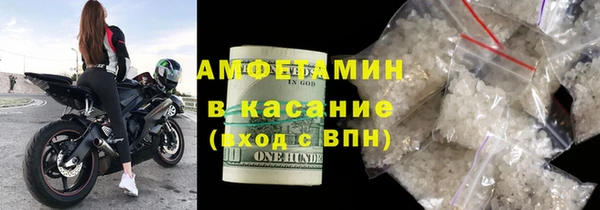 гашик Дмитров