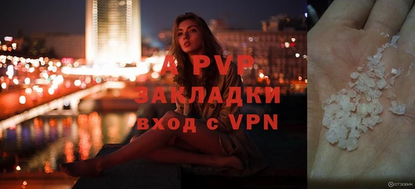гашик Дмитриев