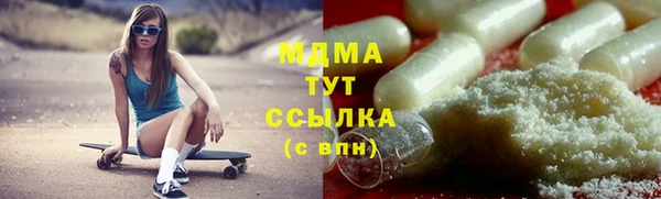 гашик Дмитров