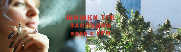 гашик Дмитров