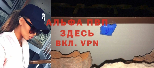 гашик Дмитров
