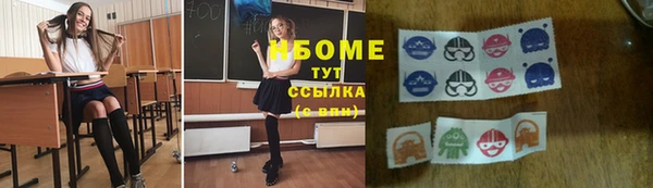 гашик Дмитров