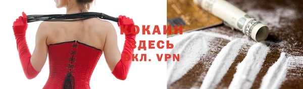 гашик Дмитров