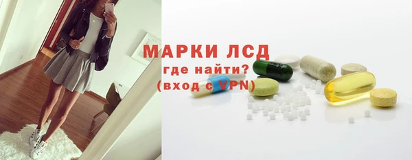 гашик Дмитров