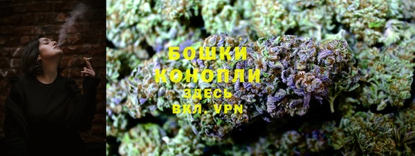 гашик Дмитров