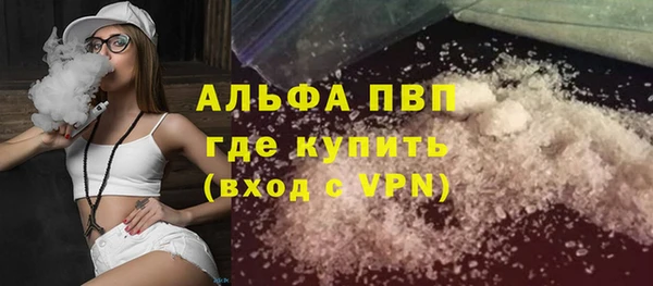 гашик Дмитриев