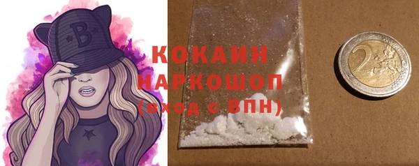 гашик Дмитров