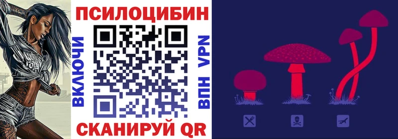 Псилоцибиновые грибы Psilocybine cubensis  Купить где  Ладушкин 